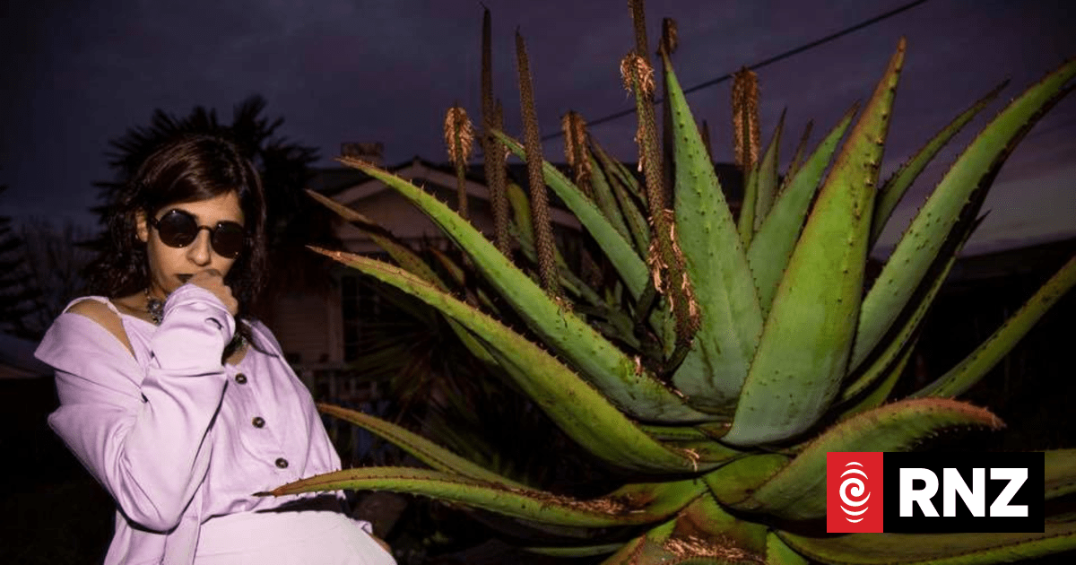 Meer was rapping for years before she told her mum | RNZ