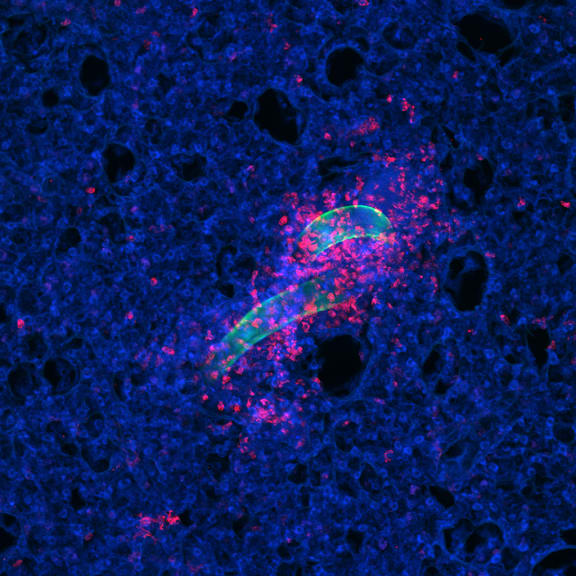 4n8mjp3 copyright image 202486