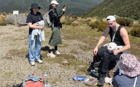 A man feeds his cat on Egmont National Park/Te Papa-Kura-o-Taranaki.