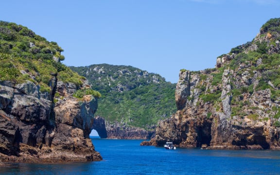 Poor Knights Islands, located east of the Tutukākā coast, Northland.