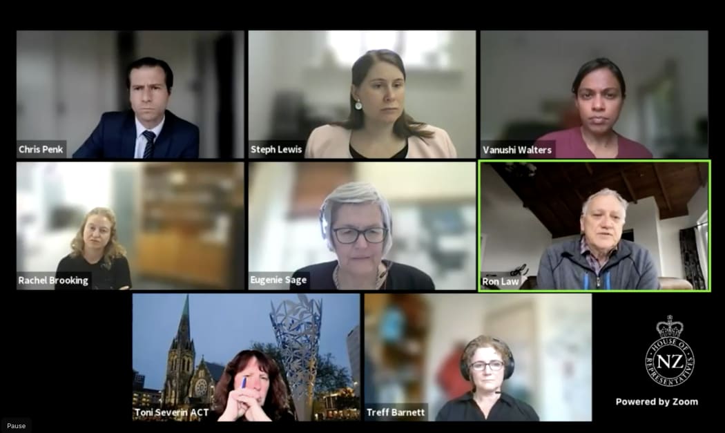 The Regulations Review Committee hearing a submission virtually