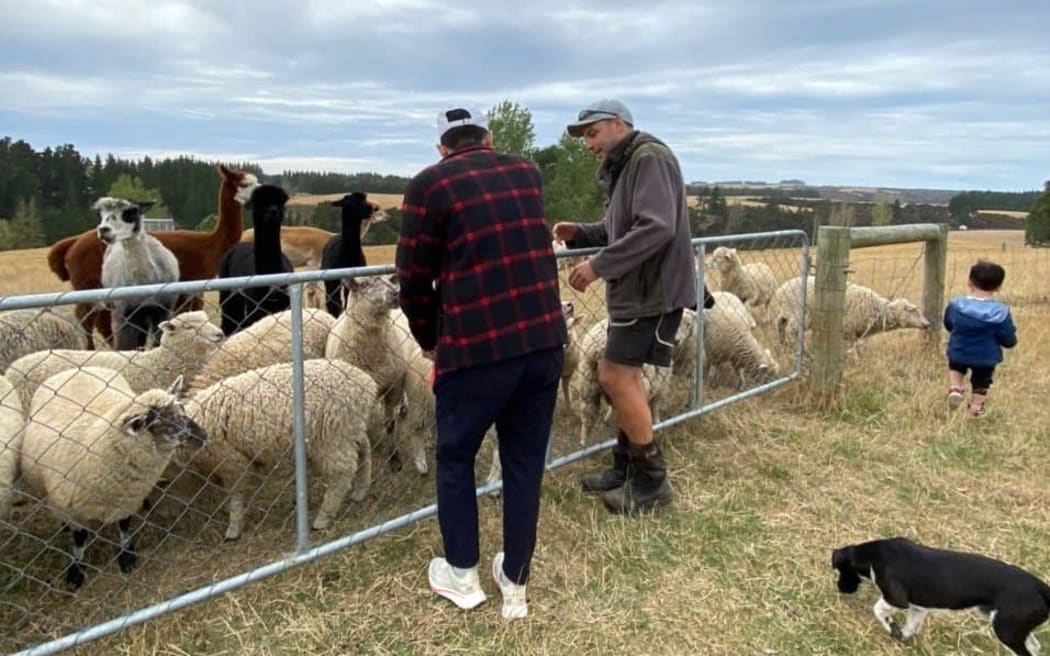 Tawanui Farm