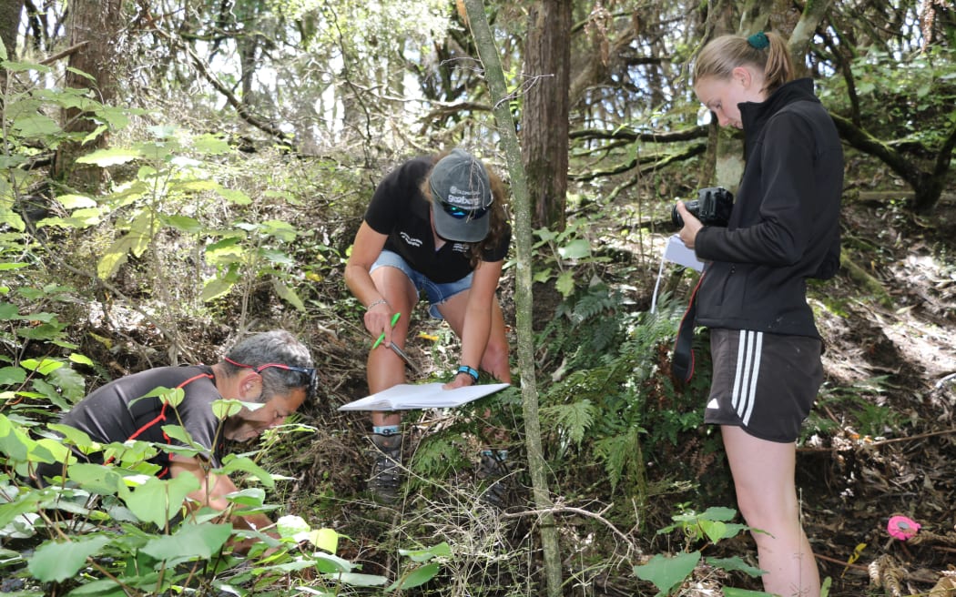 Three people in dense bush. A man on the left is crouching in the undergrowth, a woman in the middle is bending over with a notebook and pen and a woman on the right is holding a camera.