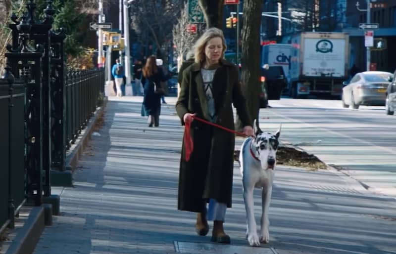 Naomi Watts and Bing in The Friend.