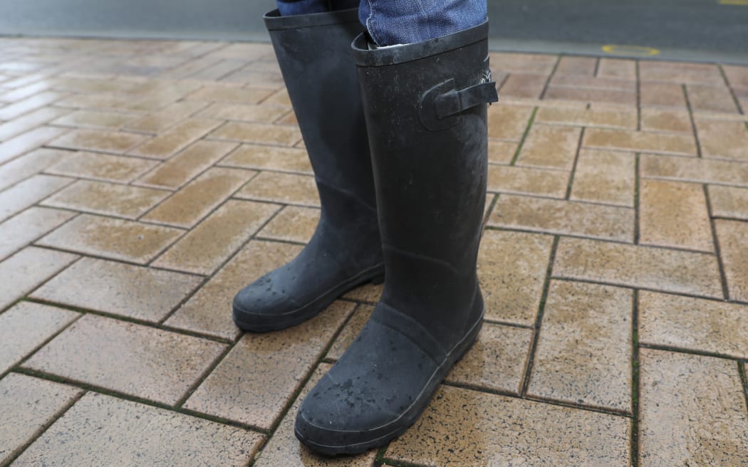 Alley Perry's gumboots