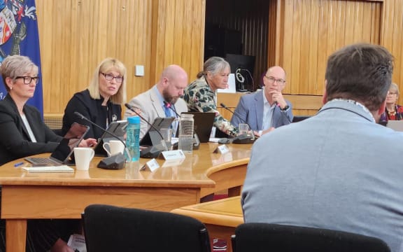 Whanganui Deputy-Mayor Helen Craig questions Māori wards advocate DC Harding.