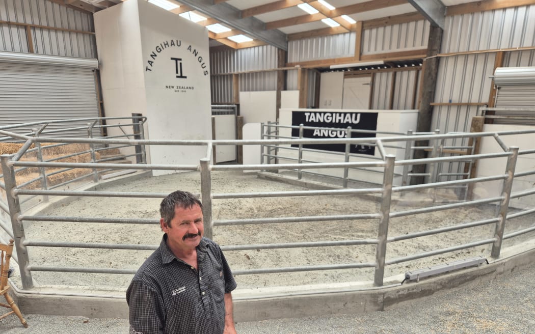 Tangihau Station stud and general manager Dean McHardy has been breeding bulls on the property for 35 years now.