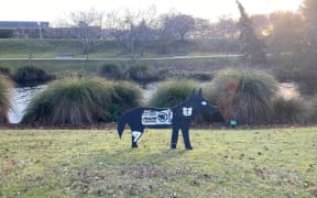 One of the wolf decoys at Christchurch Botanic Gardens being used to scare off Canada geese.
