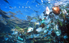 Plastic rubbish at sea.