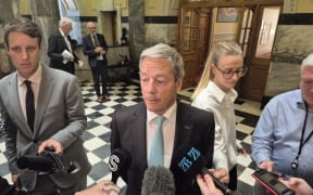 Small business Minister Andrew Bayly on his way into the House on Tuesday 22 October.
