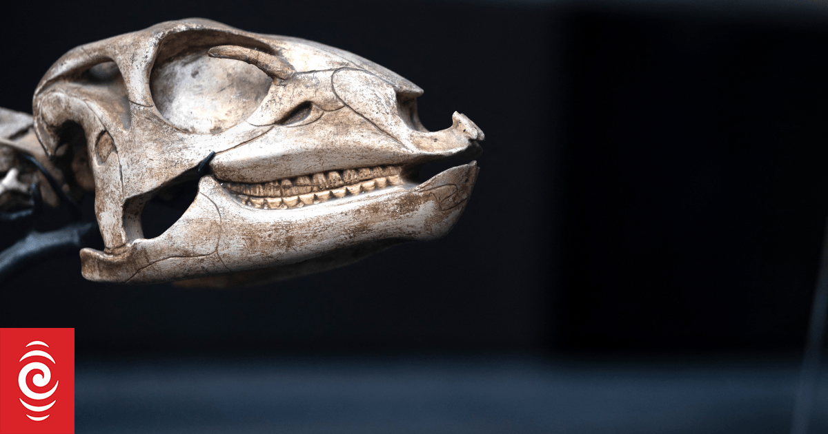 UK to seize dinosaur bones from China businessman