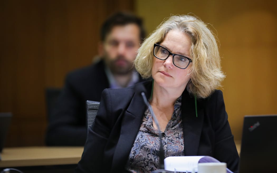 Labour MP Emily Henderson listen to evidence in select committee