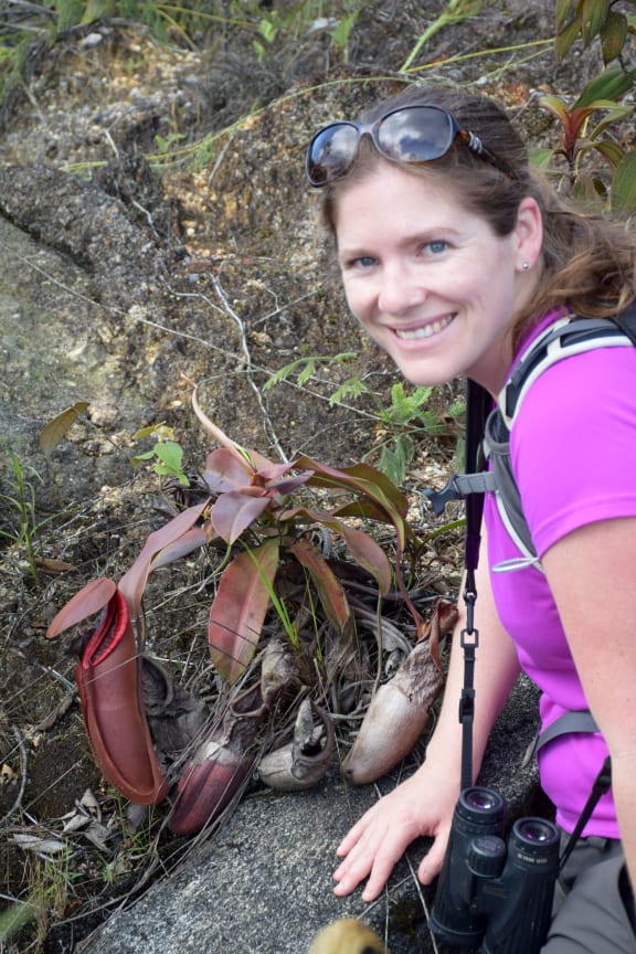 Dr Christina Painting, with a carnivorous pitcher plant.