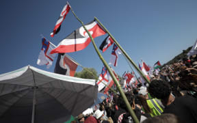 The hikoi arrives at Waitangi.