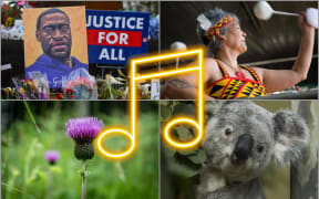Music images