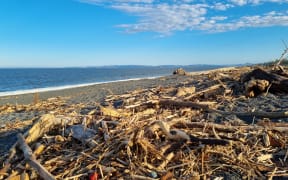 Slash on Napier Beach's coast line on 20 February, after Cyclone Gabrielle swept through the area.
