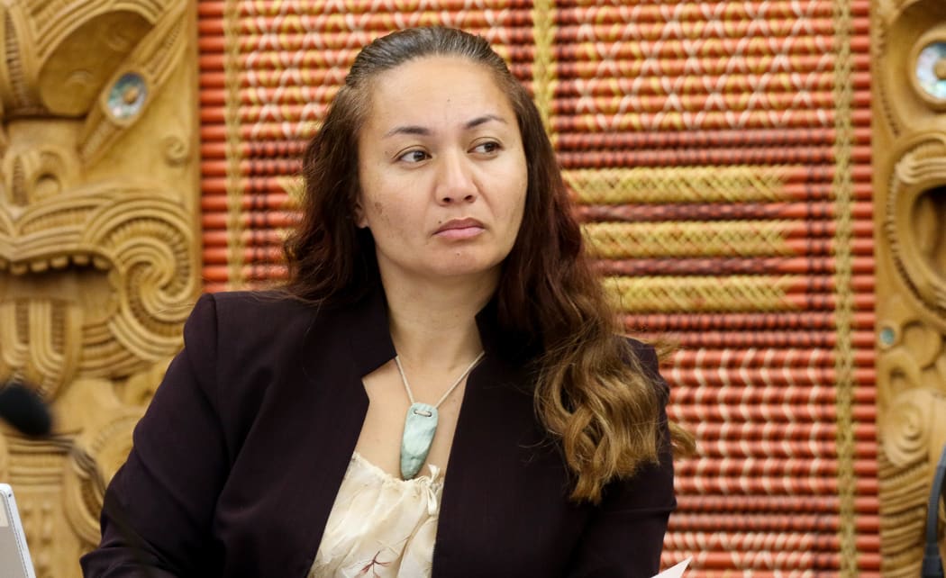 Green MP Marama Davidson in the Maori Affairs Select Committee 2017.