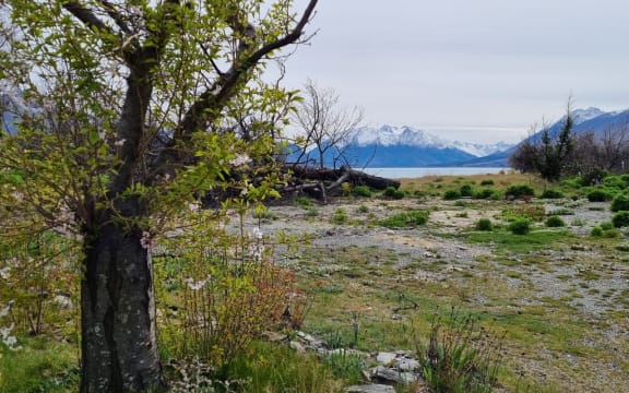 Lake Ōhau a year after the fire that ripped through the alpine village.