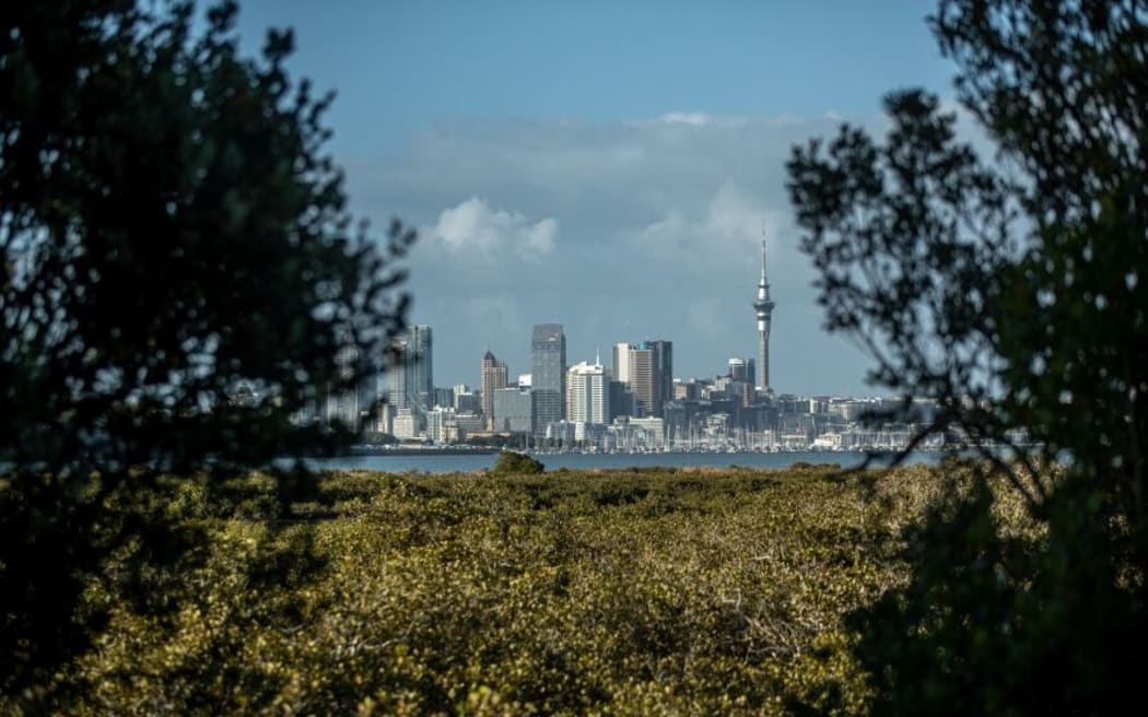 Auckland is expected significant growth in population by 2034, with another 200,000 people in the region.