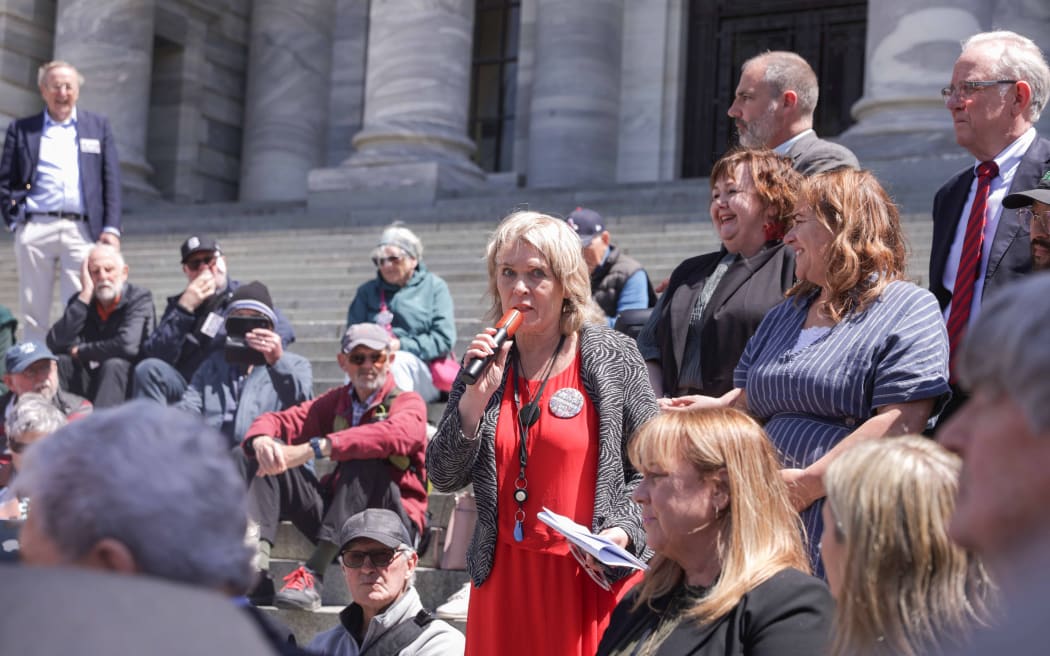 A rally at Parliament organised by the Retirement Village Residents Association (RV Residents).