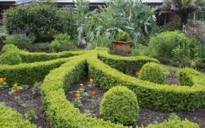 Flourishing garden in South Taranaki