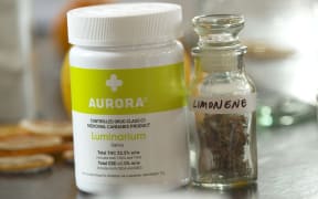 Medicinal cannabis on display at Whakamana Cannabis Museum