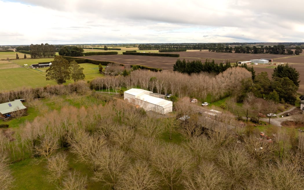 Walnut harvesting at Lightfoot Walnuts