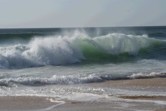 Wave
