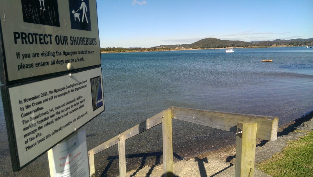 Ngunguru estuary