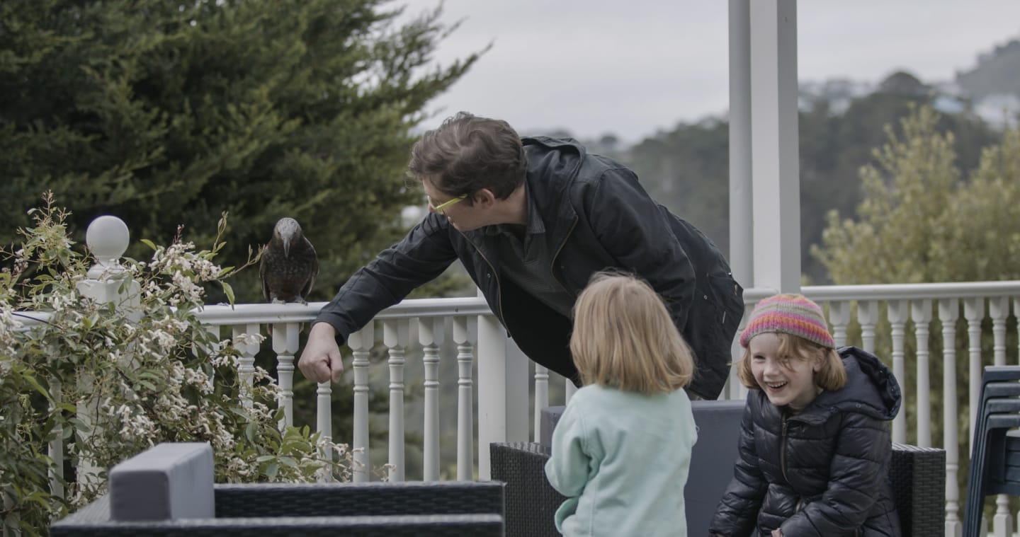 The Knox family get great joy from daily visits from Kākā  at their home near Polhill Reserve, Brooklyn, Wellington
