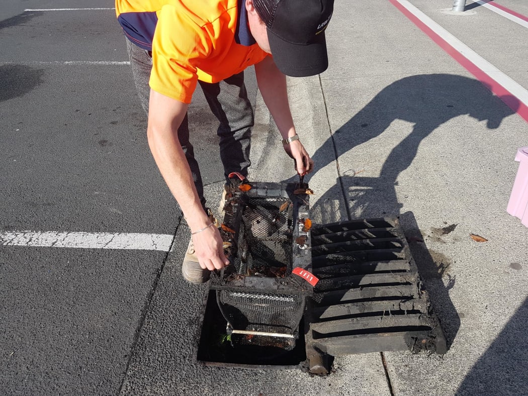 Cain Grogan from Stormwater360 pulls up a trap that caught plastic, cigarette butts, wrappers, polystyrene out of the drain.