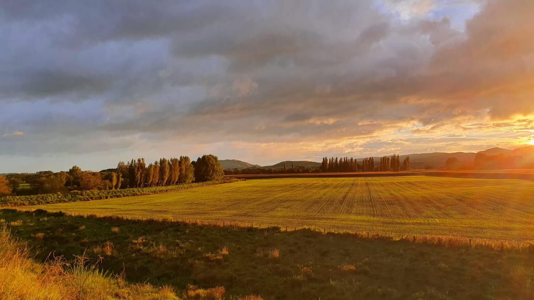 Newly sown winter crops in Autumn