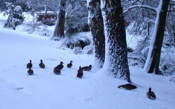 Snow in Christchurch, New Zealand