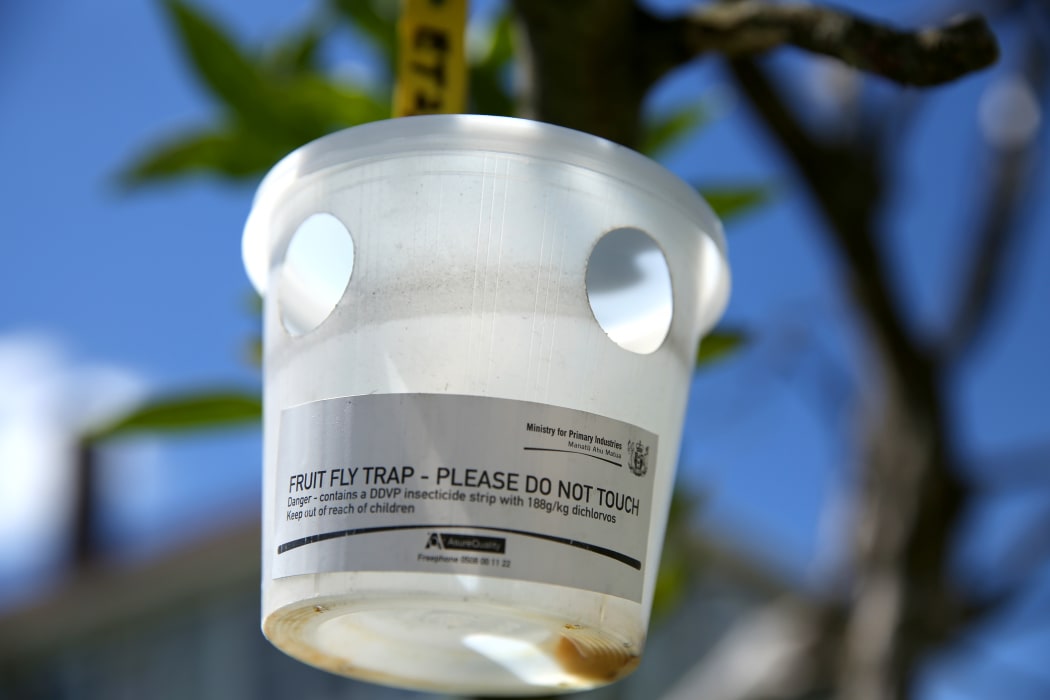 Fly traps nz discount