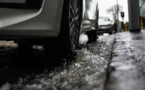 Wellington Rain