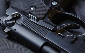 Gun