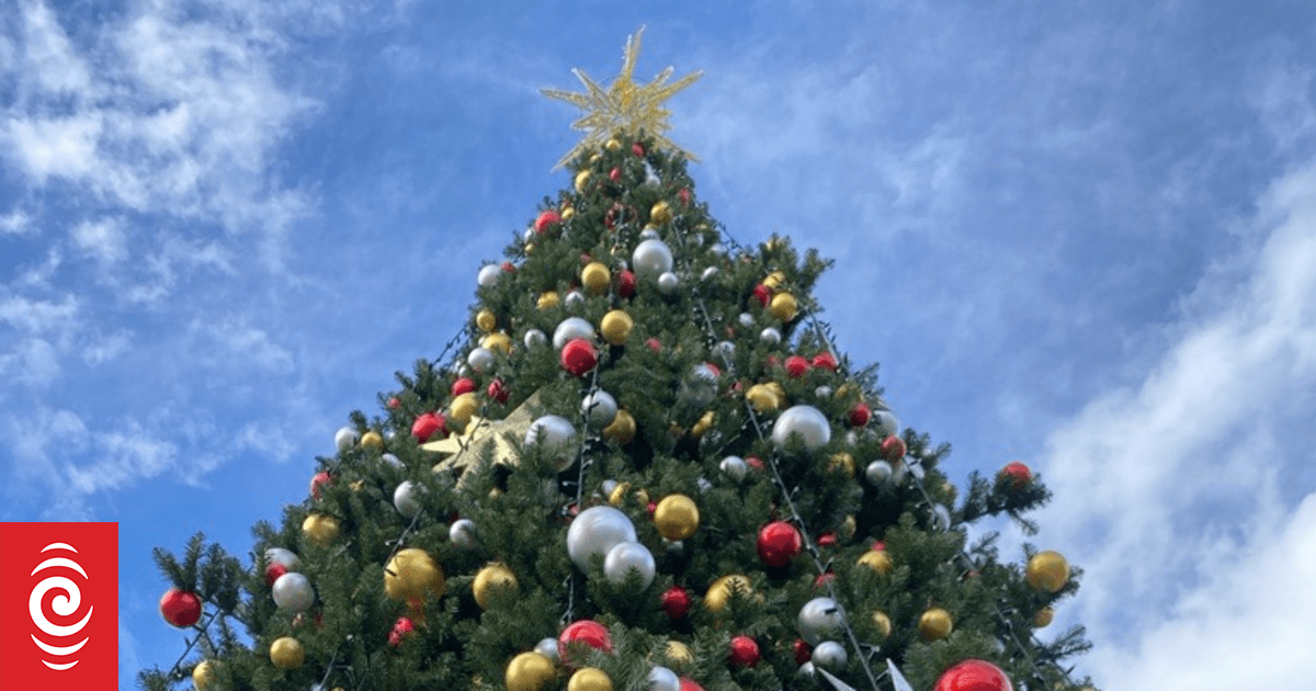 Fire-damaged Christmas tree replaced by Timaru businesses