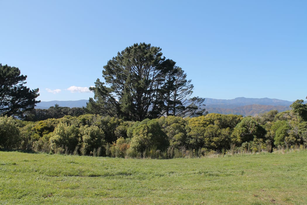 The view looking west at the rear access point to the prison: the Remutaka Ranges.