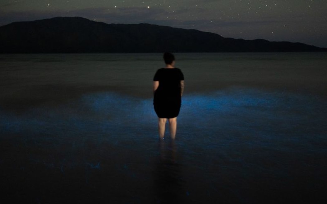 Bioluminescence light show on  Paraparaumu beach