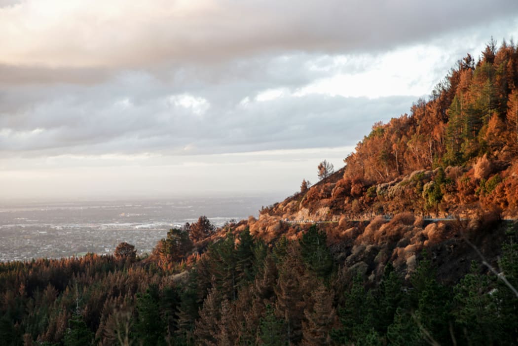 Christchurch fire - Port hills
