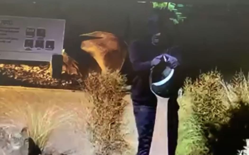 CCTV shows a man in a black hoodie taking the treasured pounamu sculpture.