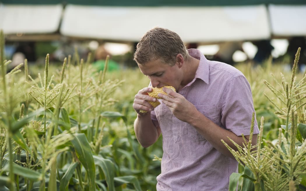 Gisborne grower Gordon McPhail.