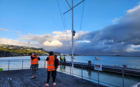 Scene at Moncks Bay after whale stranding