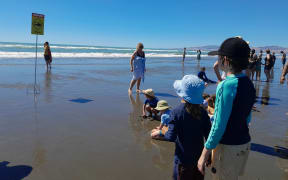 A shark warning has been put up at Christchurch's North Brighton Beach on 4 February.