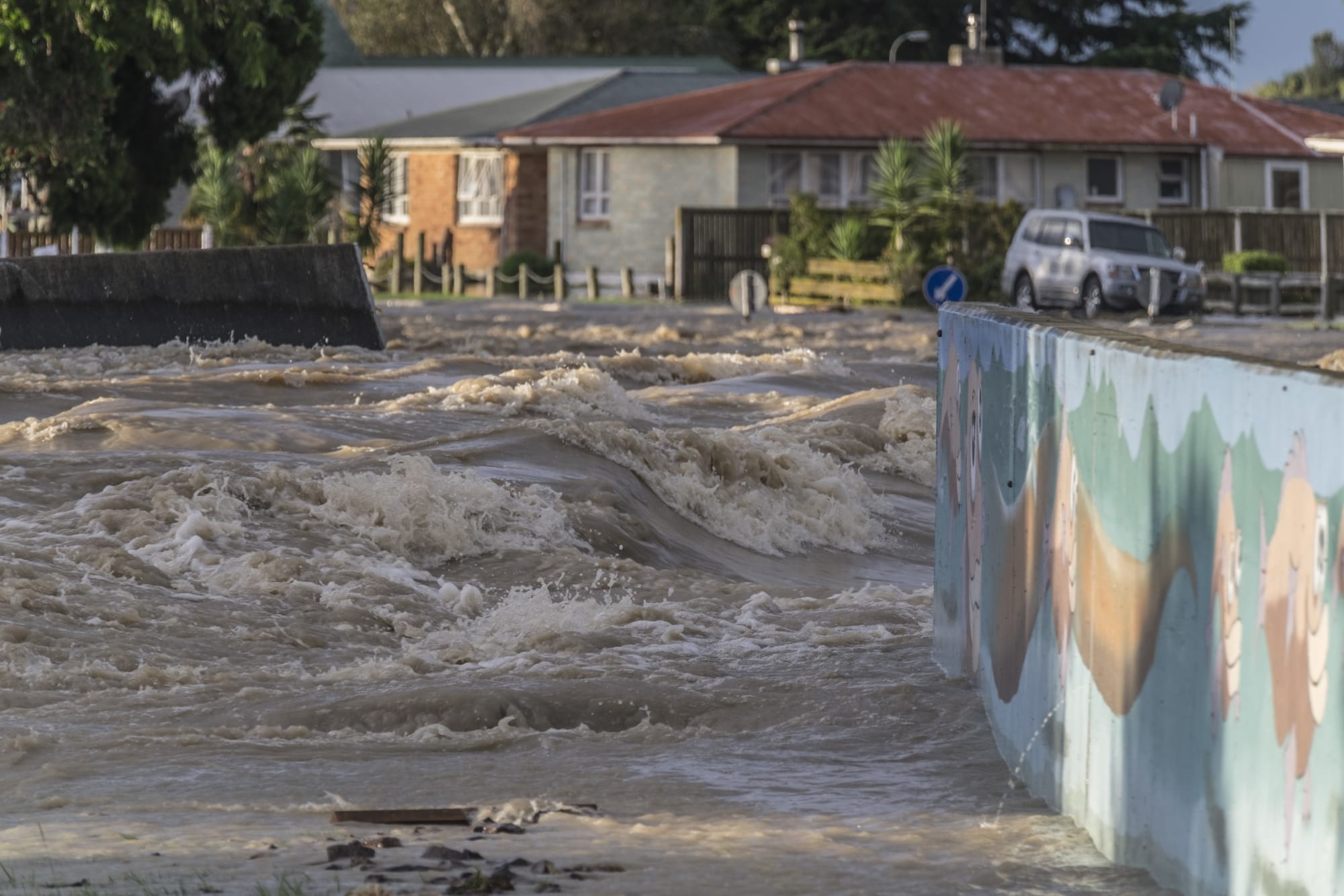 The stopbank protecting Edgecumbe from the Rangitāiki River breached on the morning of 6 April 2017 giving residents mere minutes to evacuate.