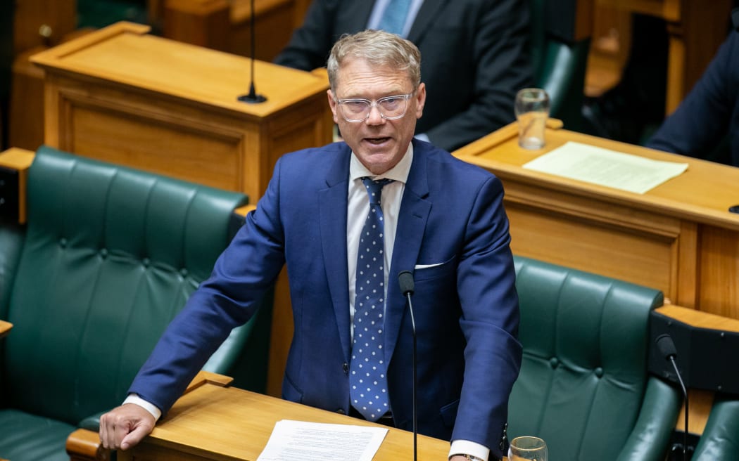 MPs speak during the second reading of the Principles of the Treaty of Waitangi Bill
