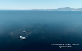 A mock-up image of what the Blue Endeavour open ocean salmon farm in Cook Strait could look like.