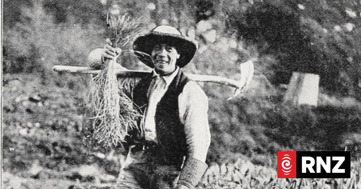 ‘Sad to see it’s gone’: The lost Chinese market gardens that once fed Auckland