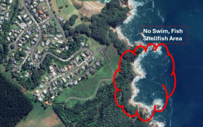 Thames Coromandel District Council is urgently asking people not to swim, fish or collect shellfish in the area around where the stream discharges until further notice.