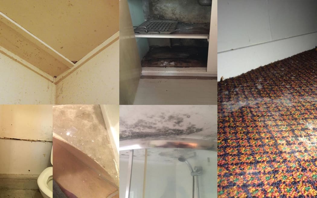 A composite of mouldy flats that students are living in.
